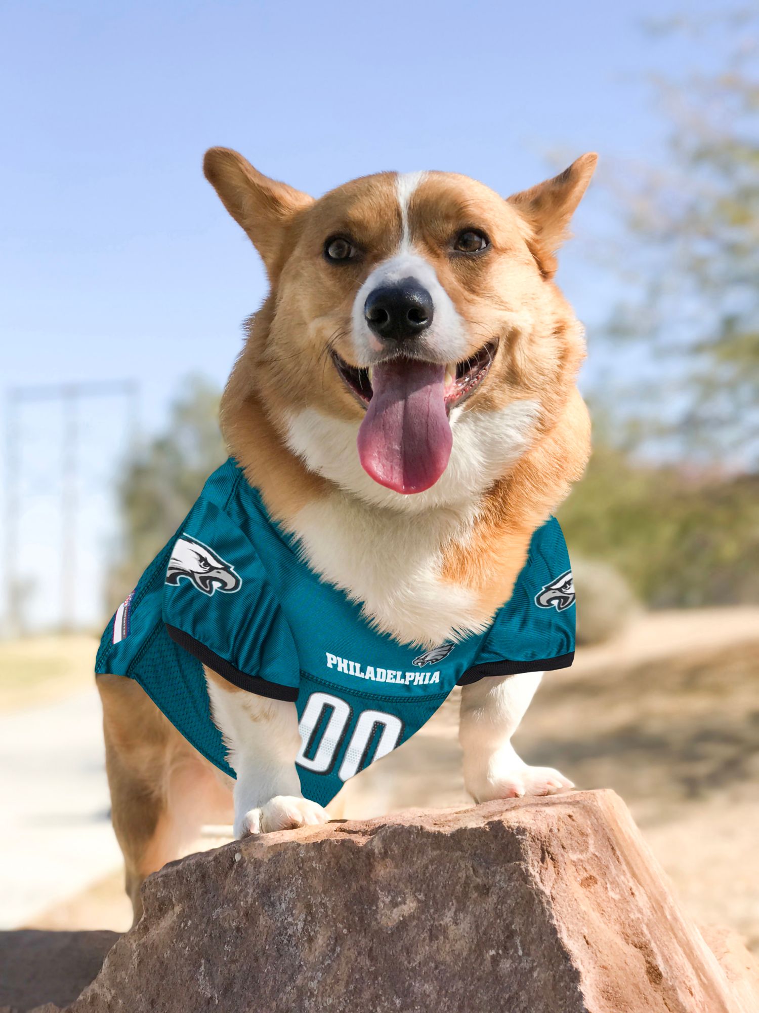 Pets First Philadelphia Eagles Mesh Pet Jersey product image