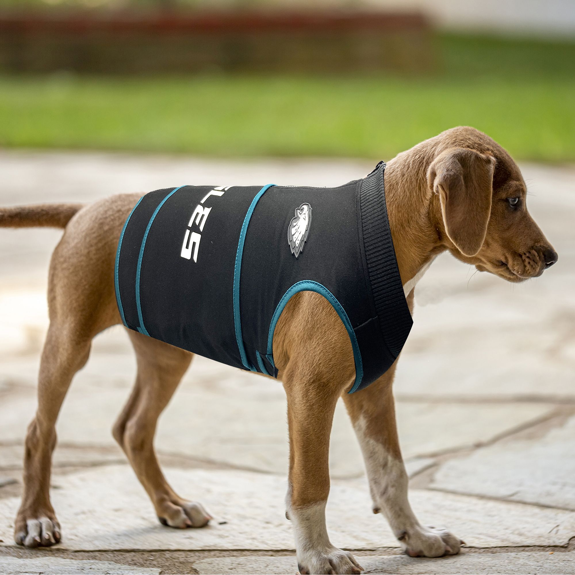 Pets First Philadelphia Eagles Soothing Vest product image