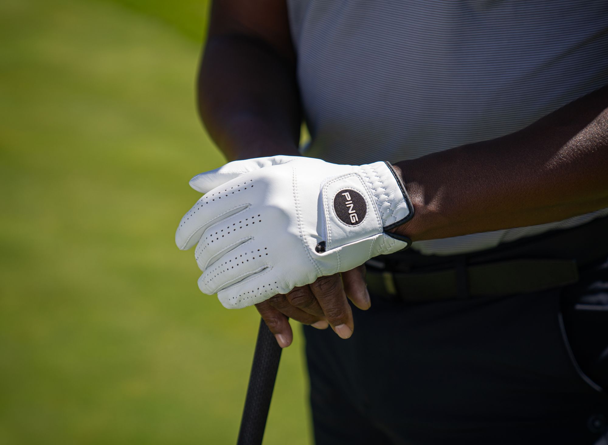 PING 2025 Tour Golf Glove product image