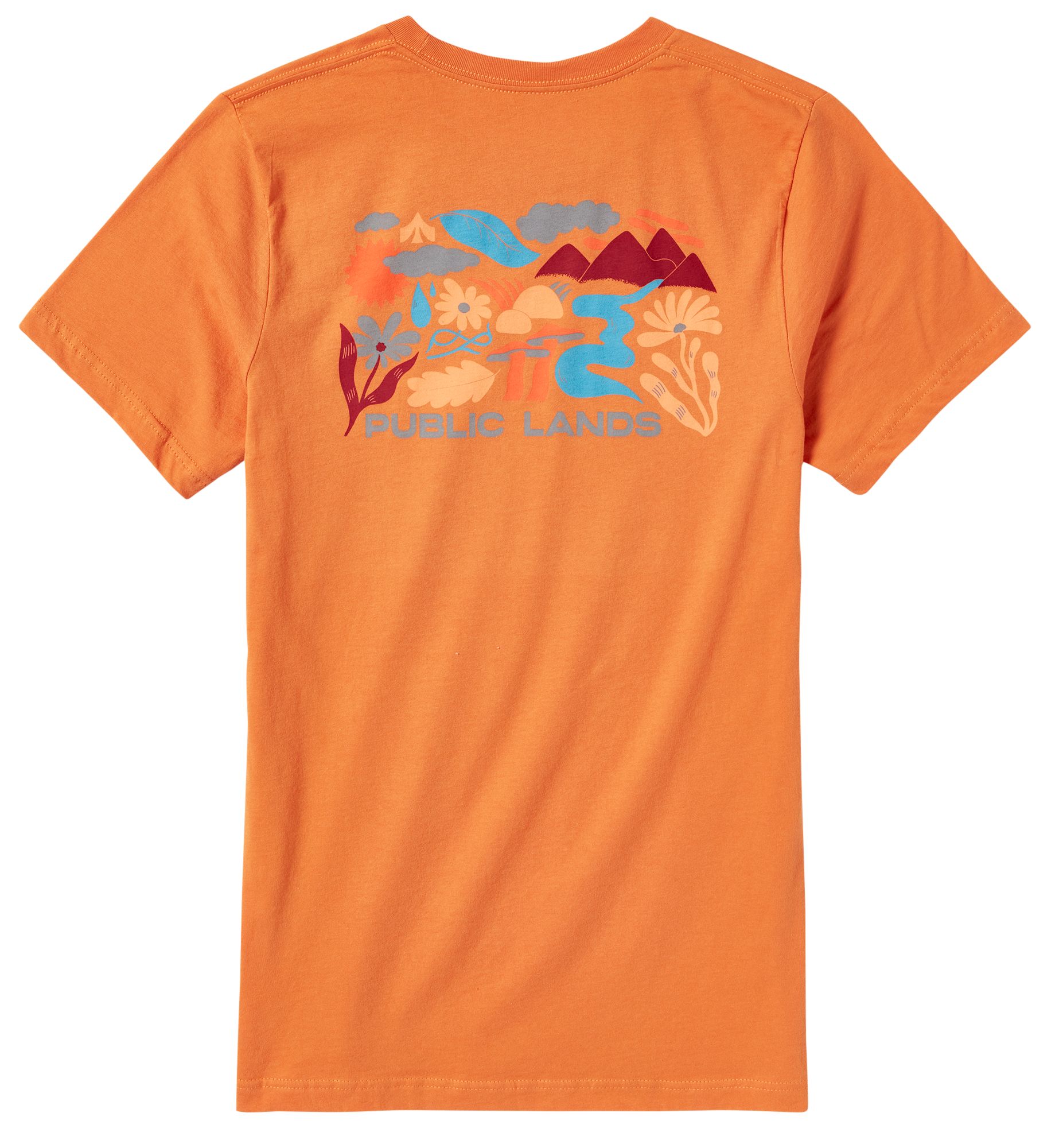 Public Lands Adult Scenery Logo T-Shirt product image