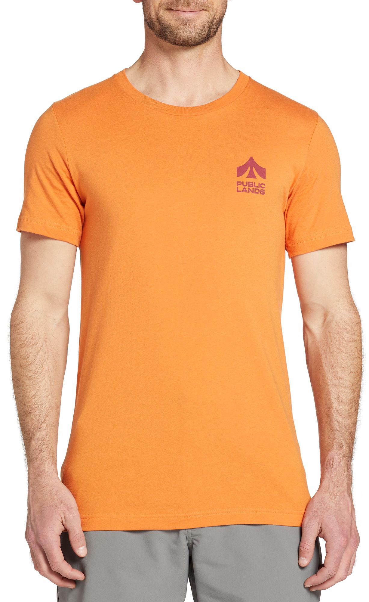 Public Lands Adult Scenery Logo T-Shirt product image