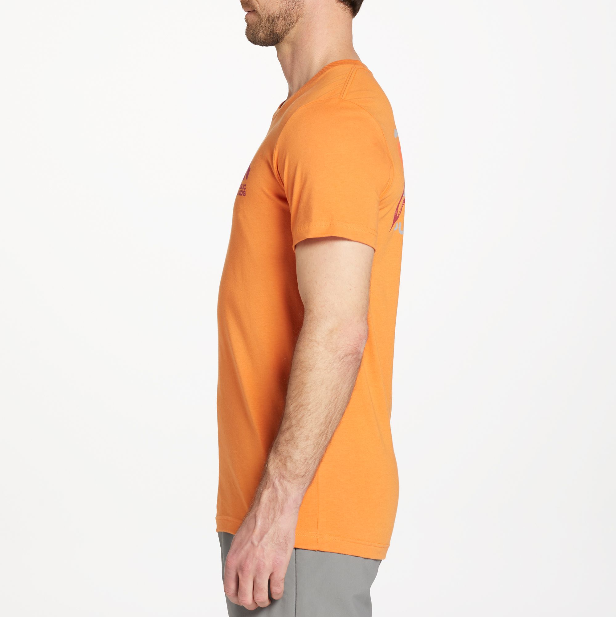 Public Lands Adult Scenery Logo T-Shirt product image