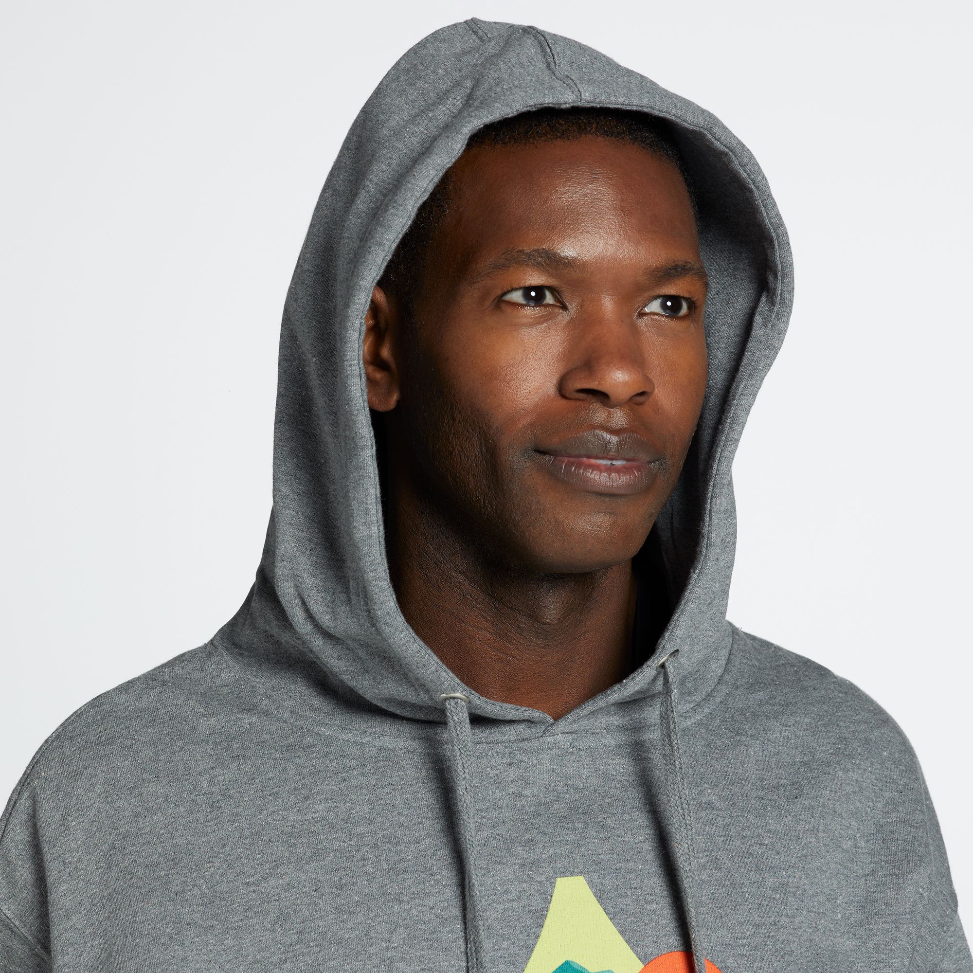 Public Lands Mountain Scape Hoodie product image