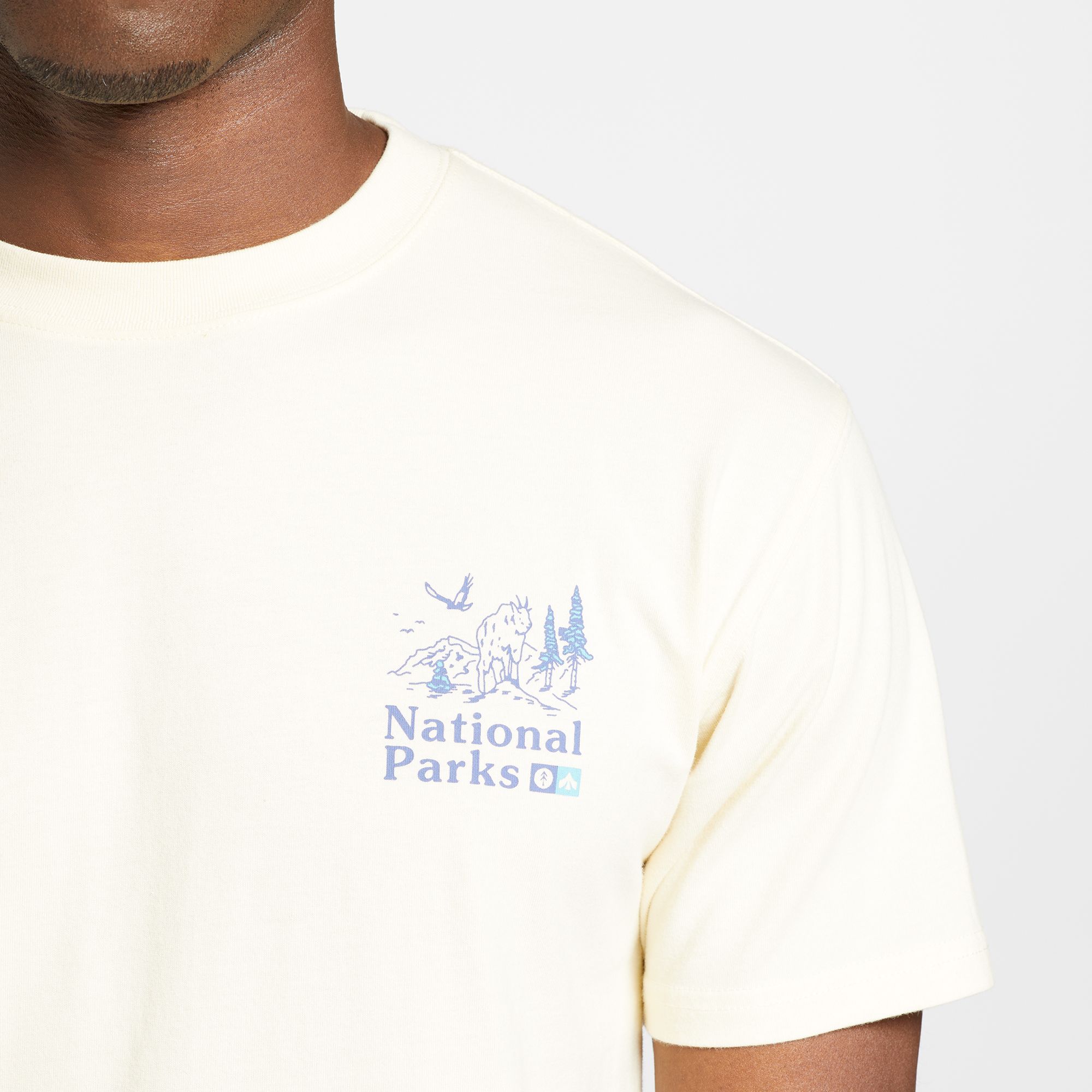 Public Lands x Parks Project National Parks Tee product image
