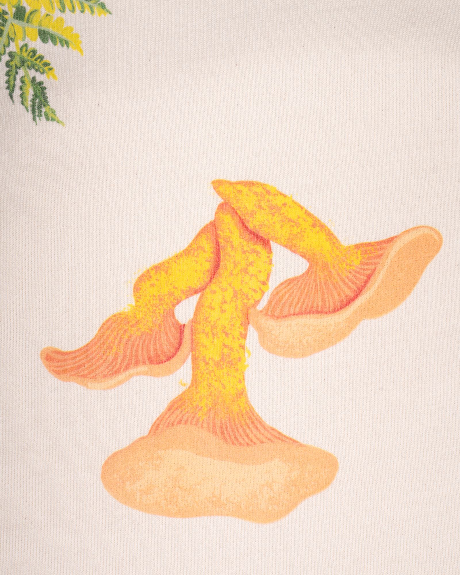 Merrell x Parks Project Shrooms in Bloom Crewneck Sweatshirt product image