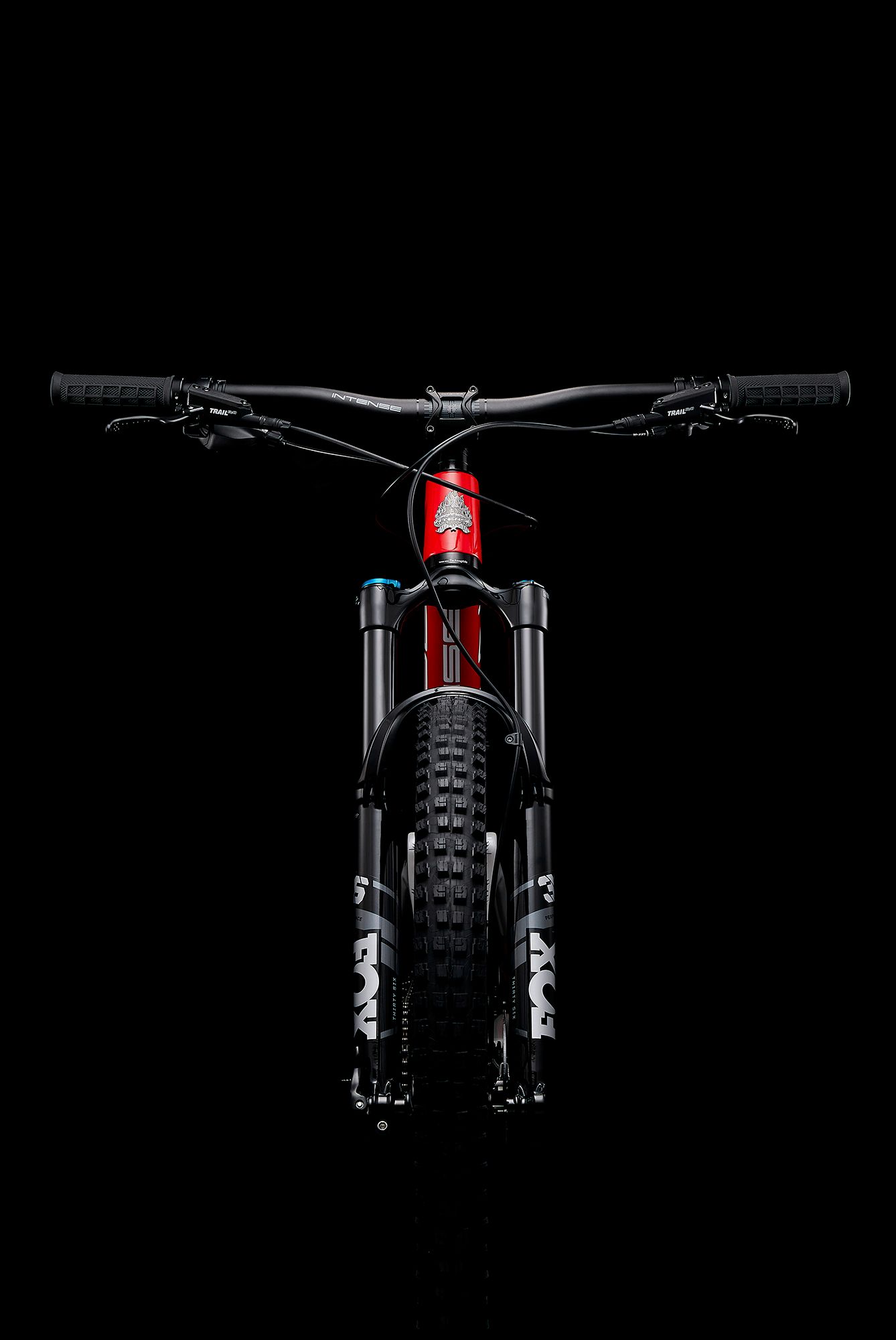 Intense Adult Primer 29 Expert Mountain Bike product image
