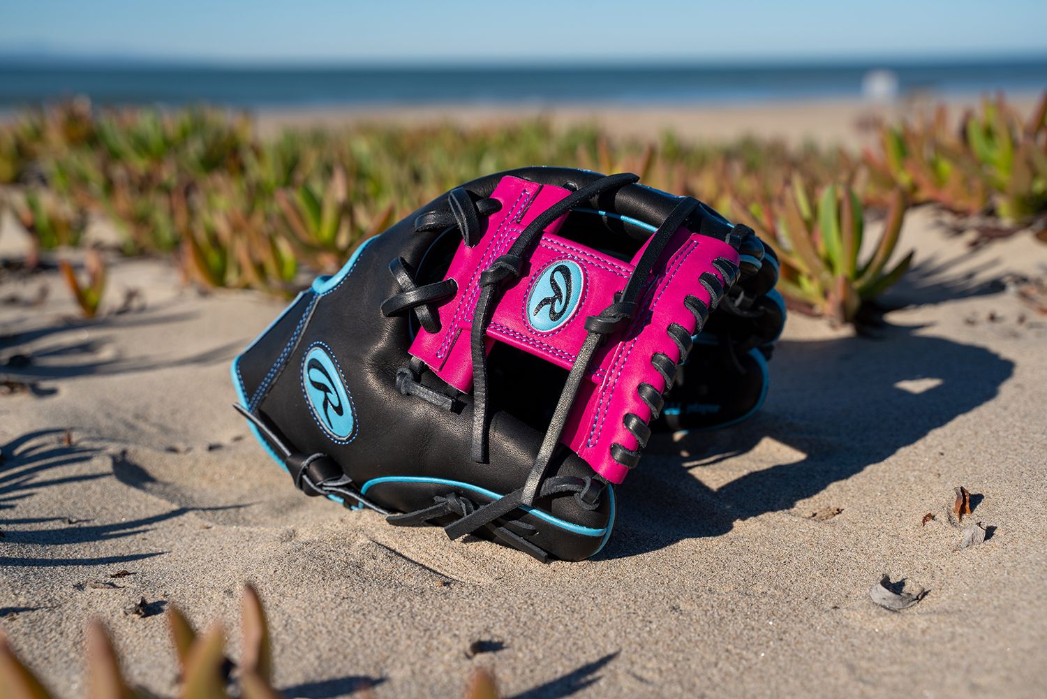 Rawlings 11.5'' Heart of the Hide R2G Spring Break Series Glove product image