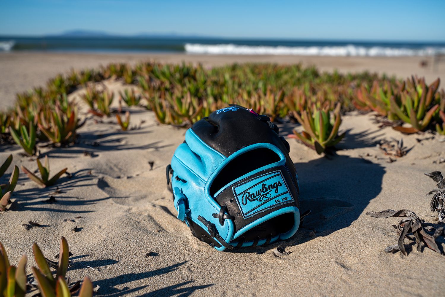 Rawlings 11.5'' Heart of the Hide R2G Spring Break Series Glove product image