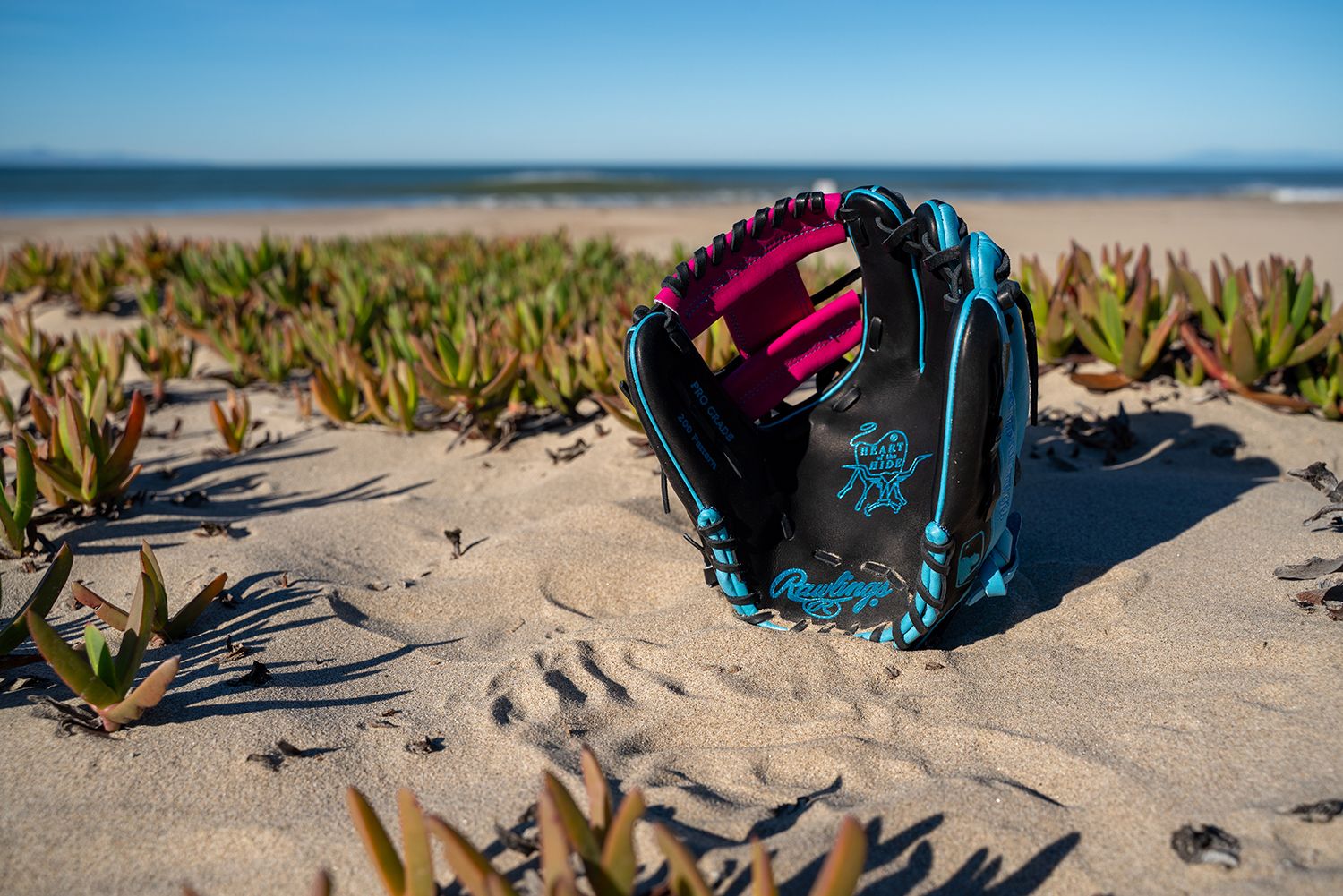 Rawlings 11.5'' Heart of the Hide R2G Spring Break Series Glove product image