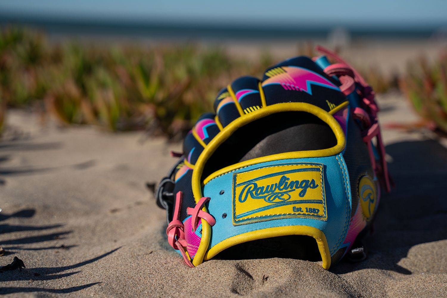 Rawlings 11.5'' Heart of the Hide R2G Spring Break Series Glove product image