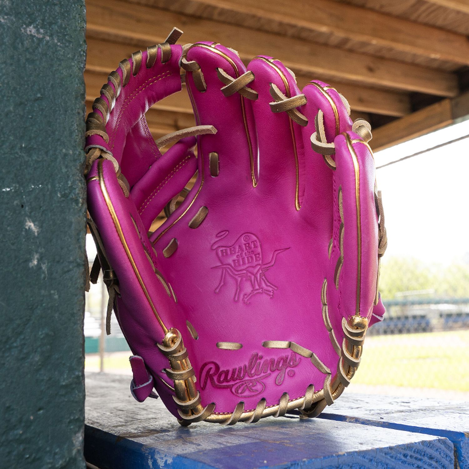 Rawlings 11.5" Heart of the Hide R2G Series Glove product image