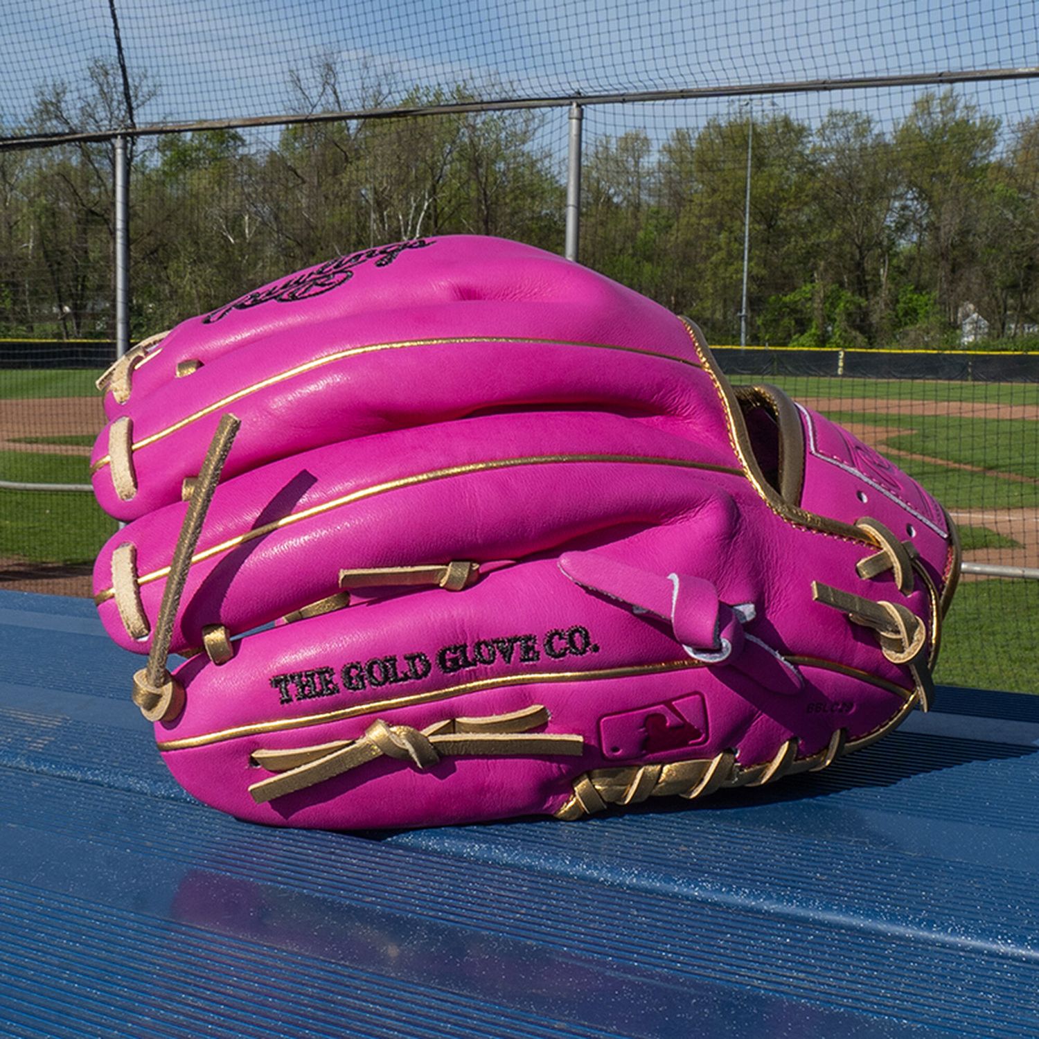 Rawlings 11.5" Heart of the Hide R2G Series Glove product image