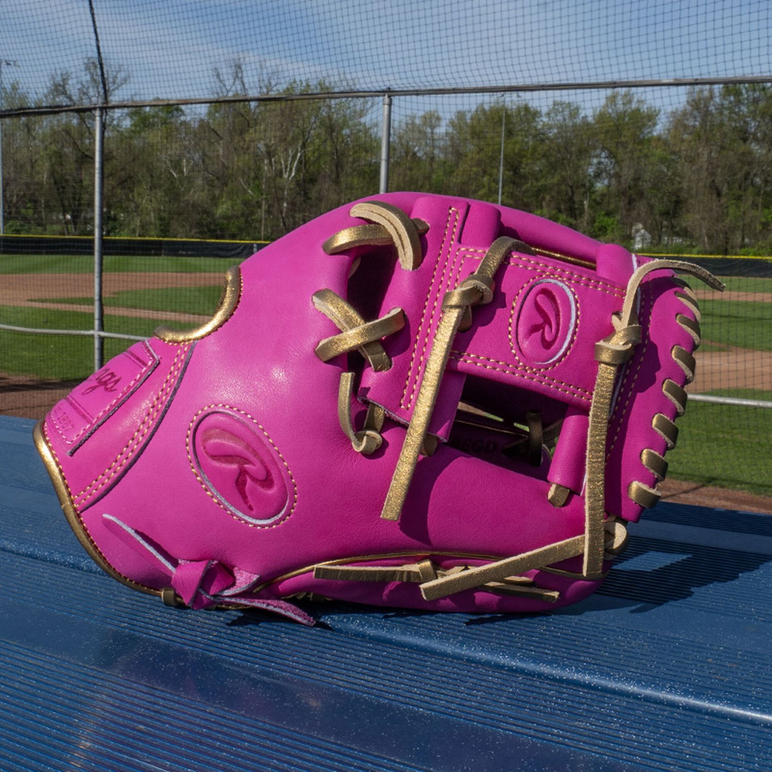 Rawlings 11.5" Heart of the Hide R2G Series Glove product image