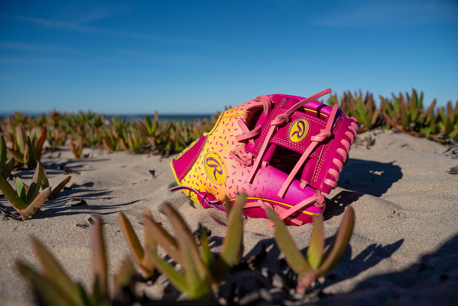 Rawlings 11.5'' Heart of the Hide R2G Spring Break Series Glove product image