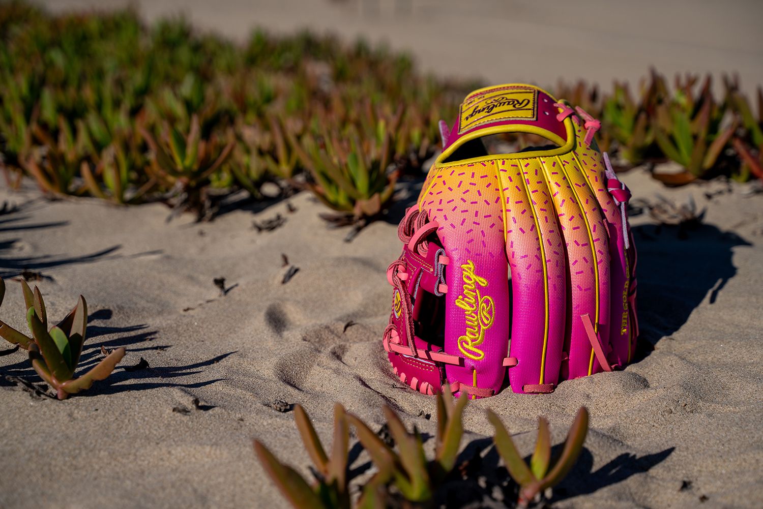 Rawlings 11.5'' Heart of the Hide R2G Spring Break Series Glove product image