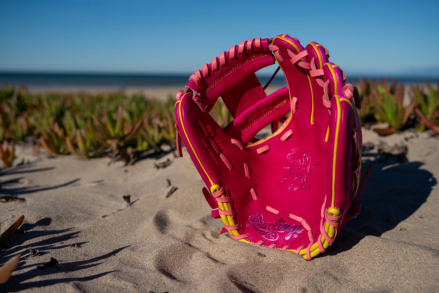 Rawlings 11.5'' Heart of the Hide R2G Spring Break Series Glove product image