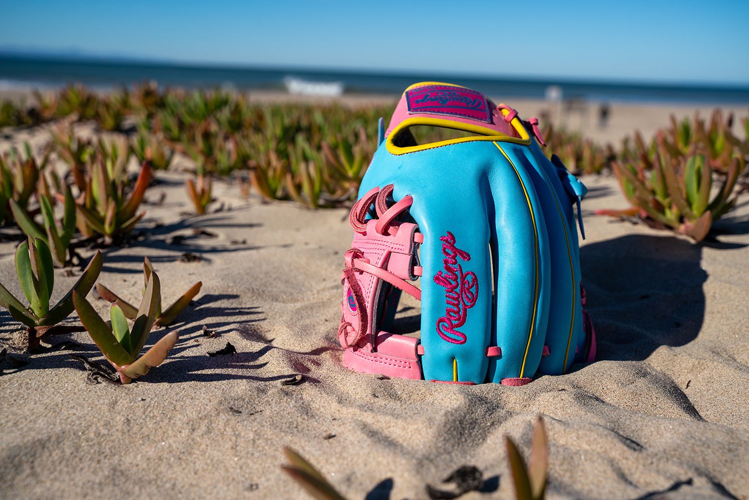 Rawlings 11.5'' Heart of the Hide R2G Spring Break Series Glove product image