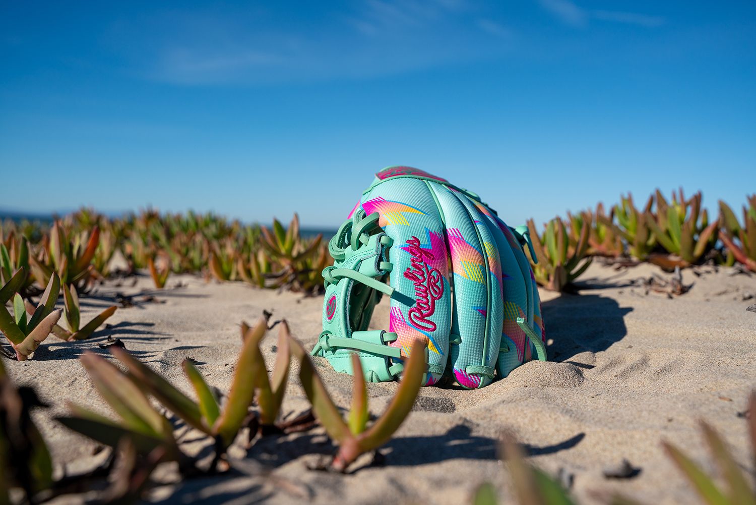 Rawlings 11.5'' Heart of the Hide R2G Spring Break Series Glove product image