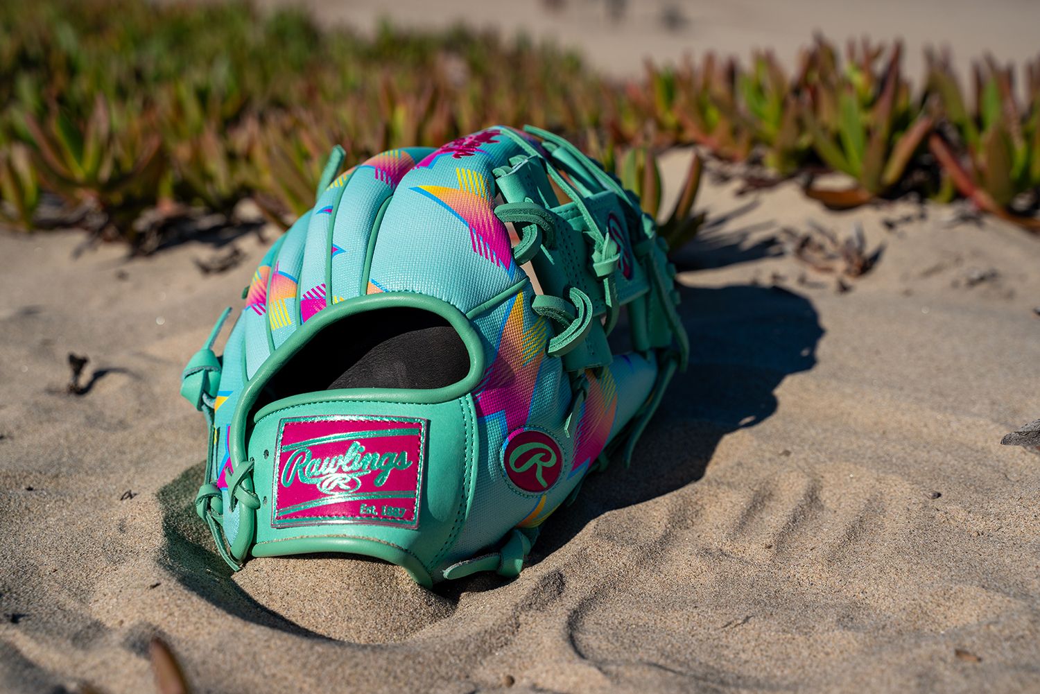 Rawlings 11.5'' Heart of the Hide R2G Spring Break Series Glove product image