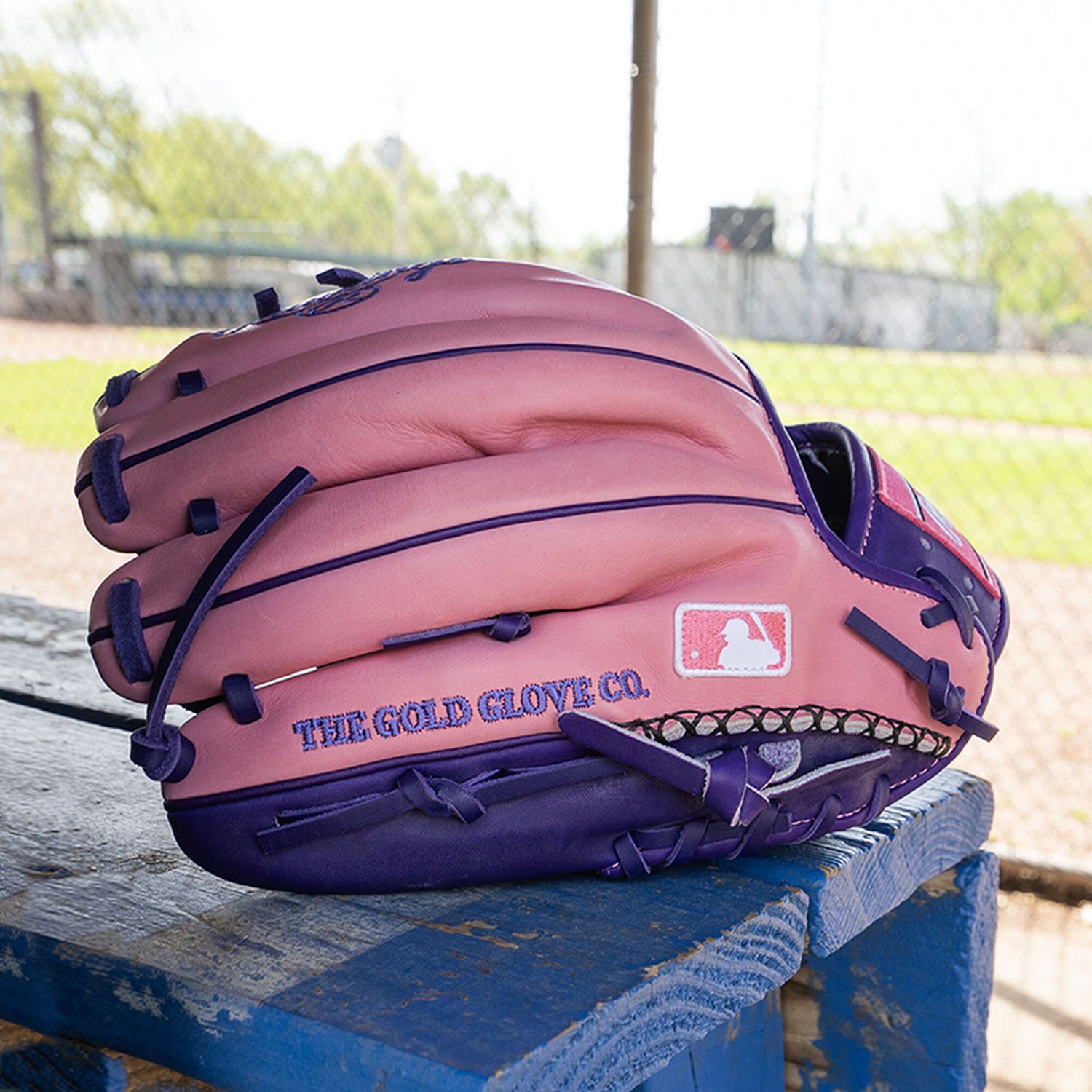 Rawlings 11.5" Heart of the Hide R2G Series Glove product image