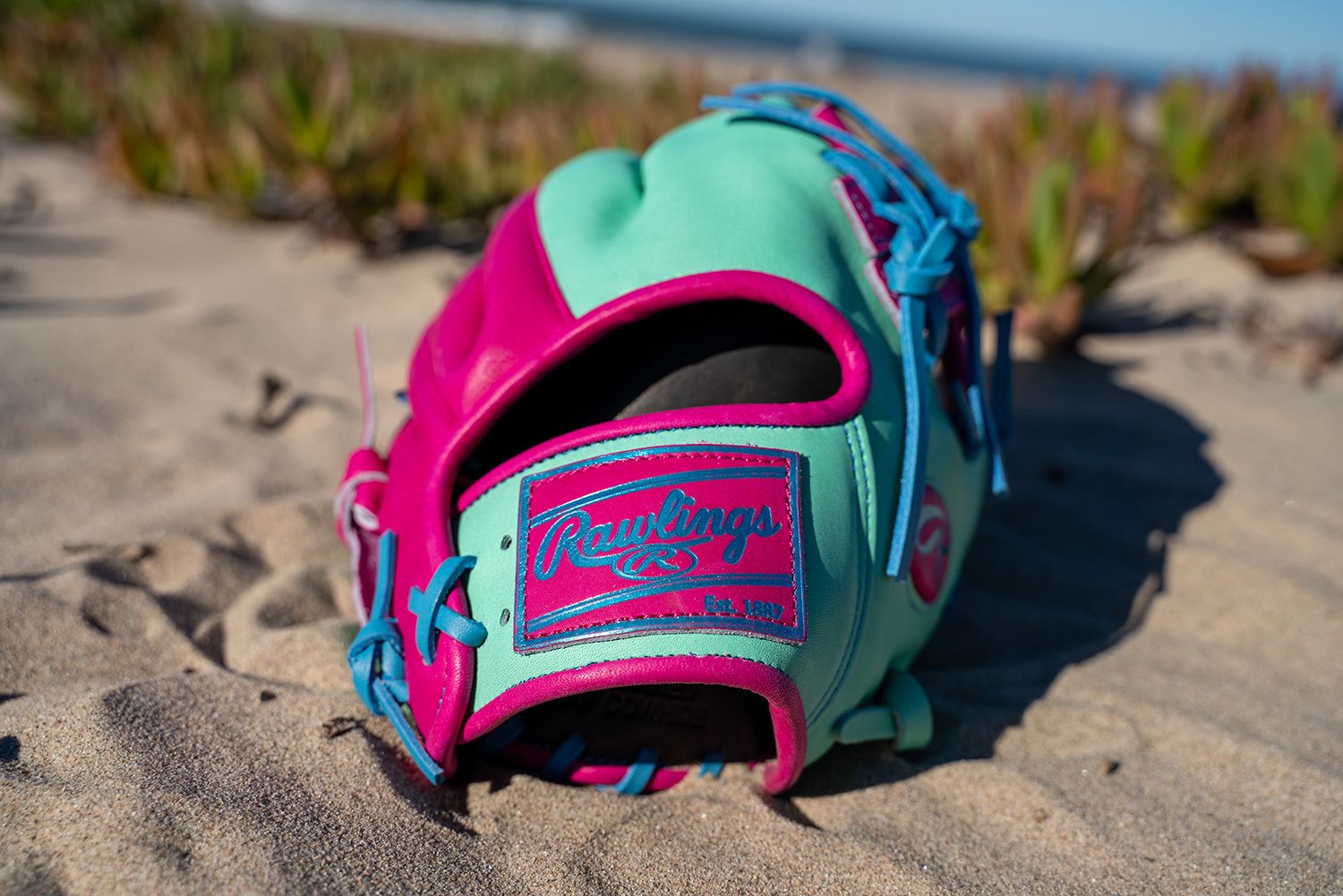 Rawlings 11.5'' Heart of the Hide R2G Spring Break Series Glove product image