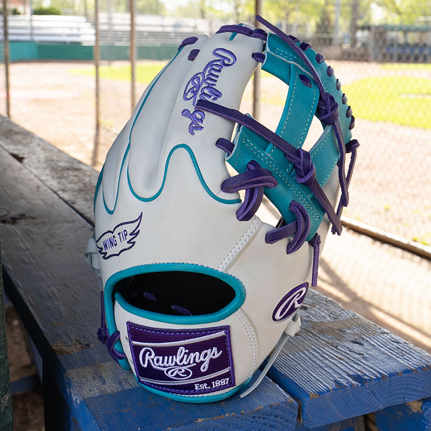 Rawlings 11.5" Heart of the Hide R2G Series Glove product image