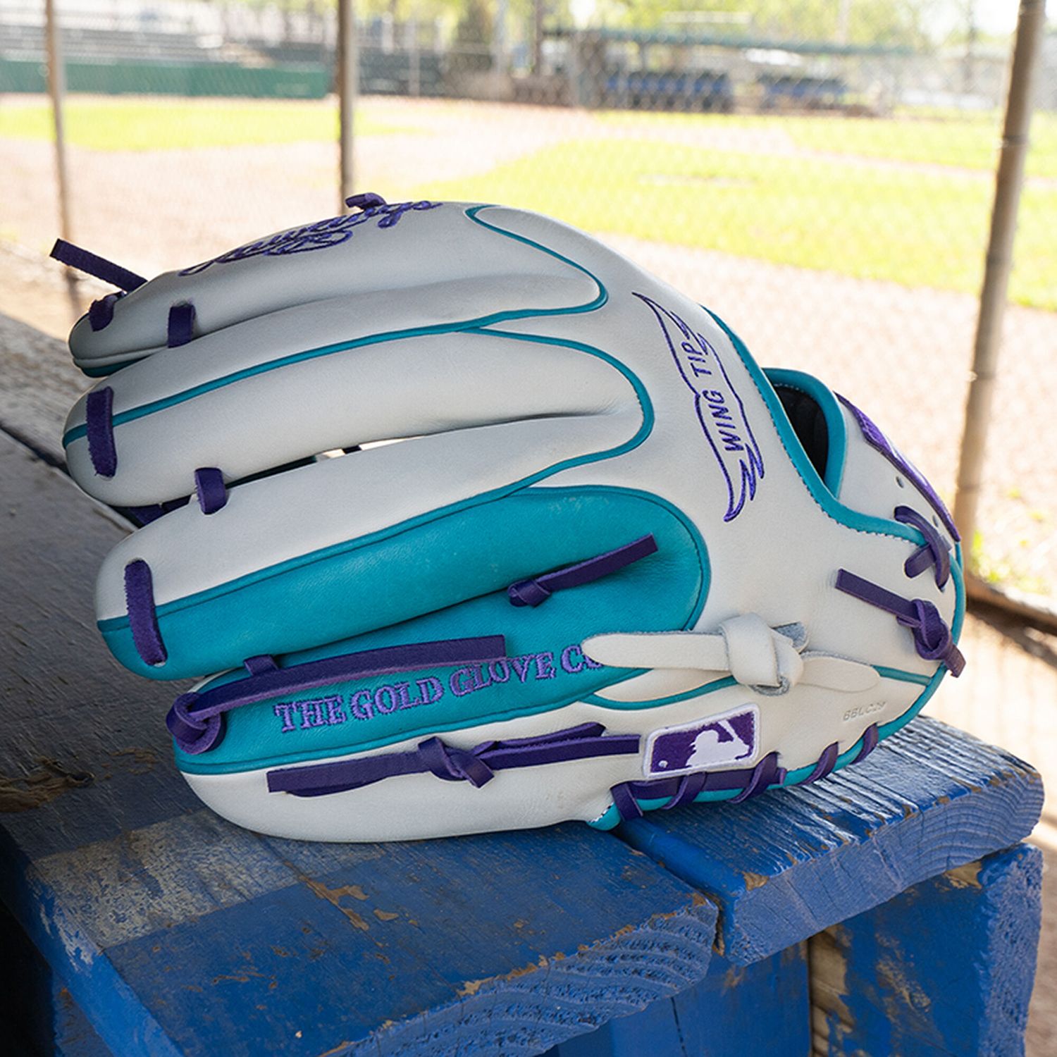 Rawlings 11.5" Heart of the Hide R2G Series Glove product image