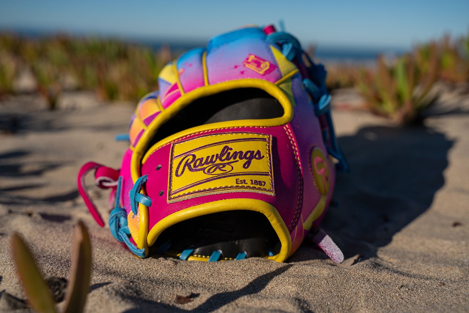 Rawlings 12" Heart of the Hide R2G Spring Break Series Fastpitch Glove product image