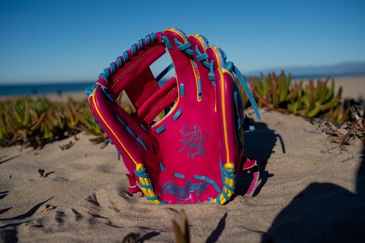 Rawlings 12" Heart of the Hide R2G Spring Break Series Fastpitch Glove product image