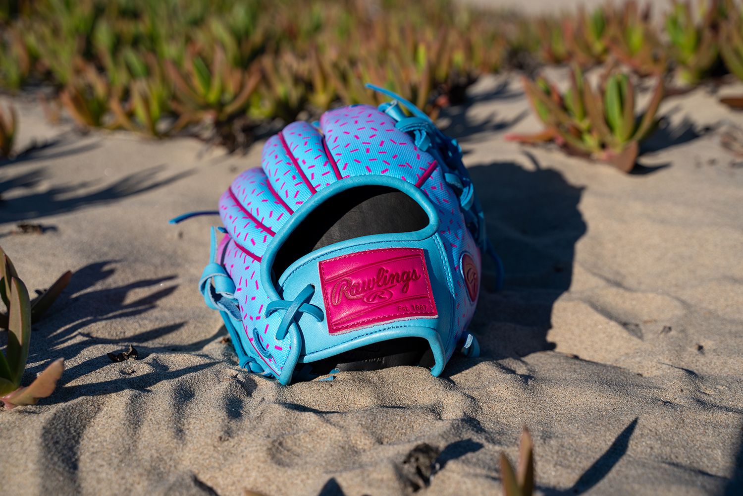 Rawlings 12" Heart of the Hide R2G Spring Break Series Fastpitch Glove product image