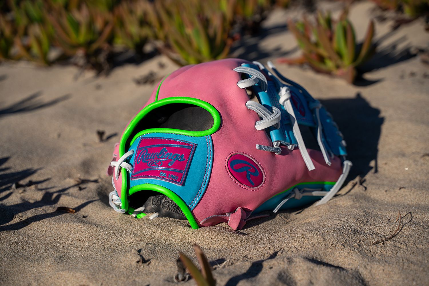 Rawlings 12" Heart of the Hide R2G Spring Break Series Fastpitch Glove product image