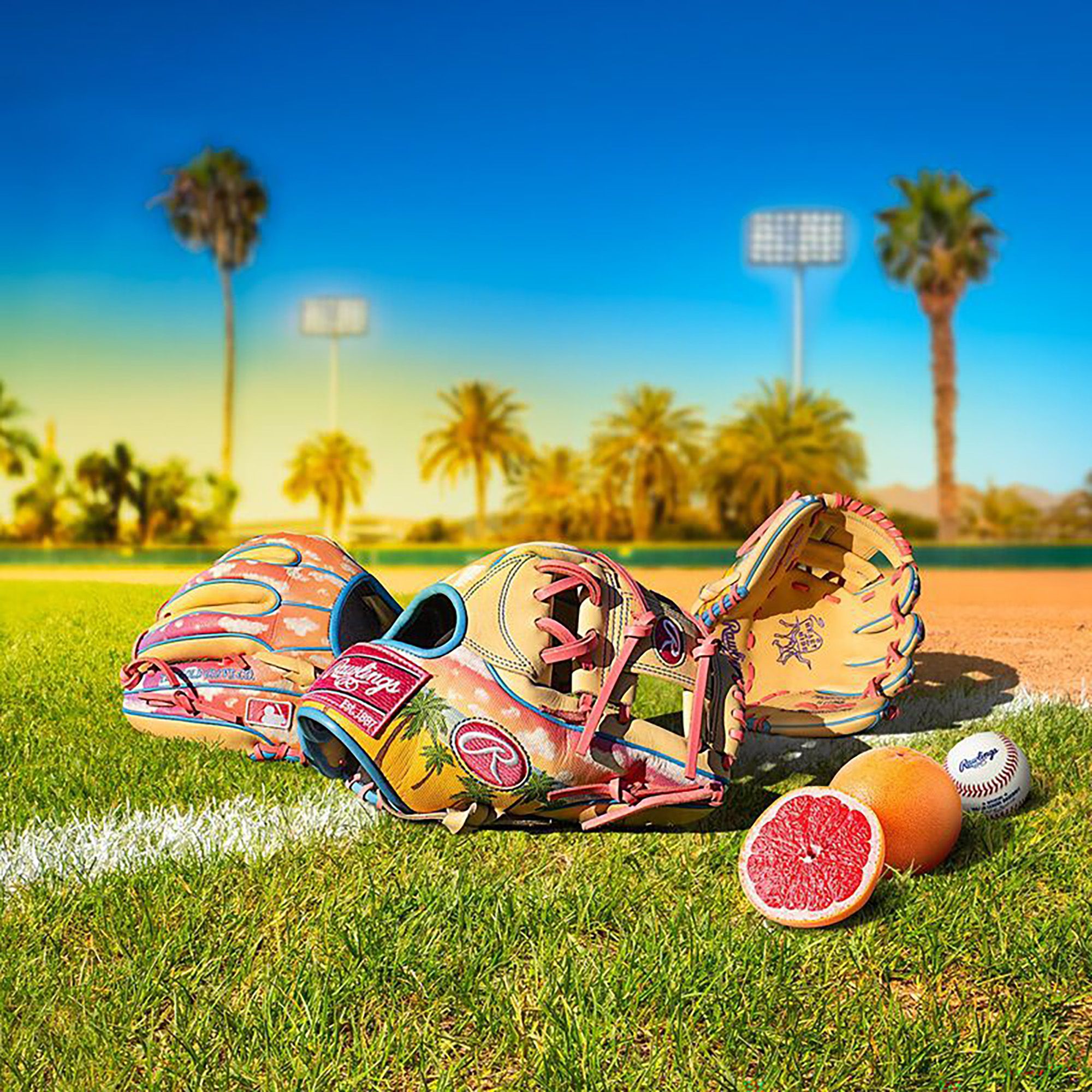 Rawlings 11.5" Spring Training Heart of the Hide Series Glove product image