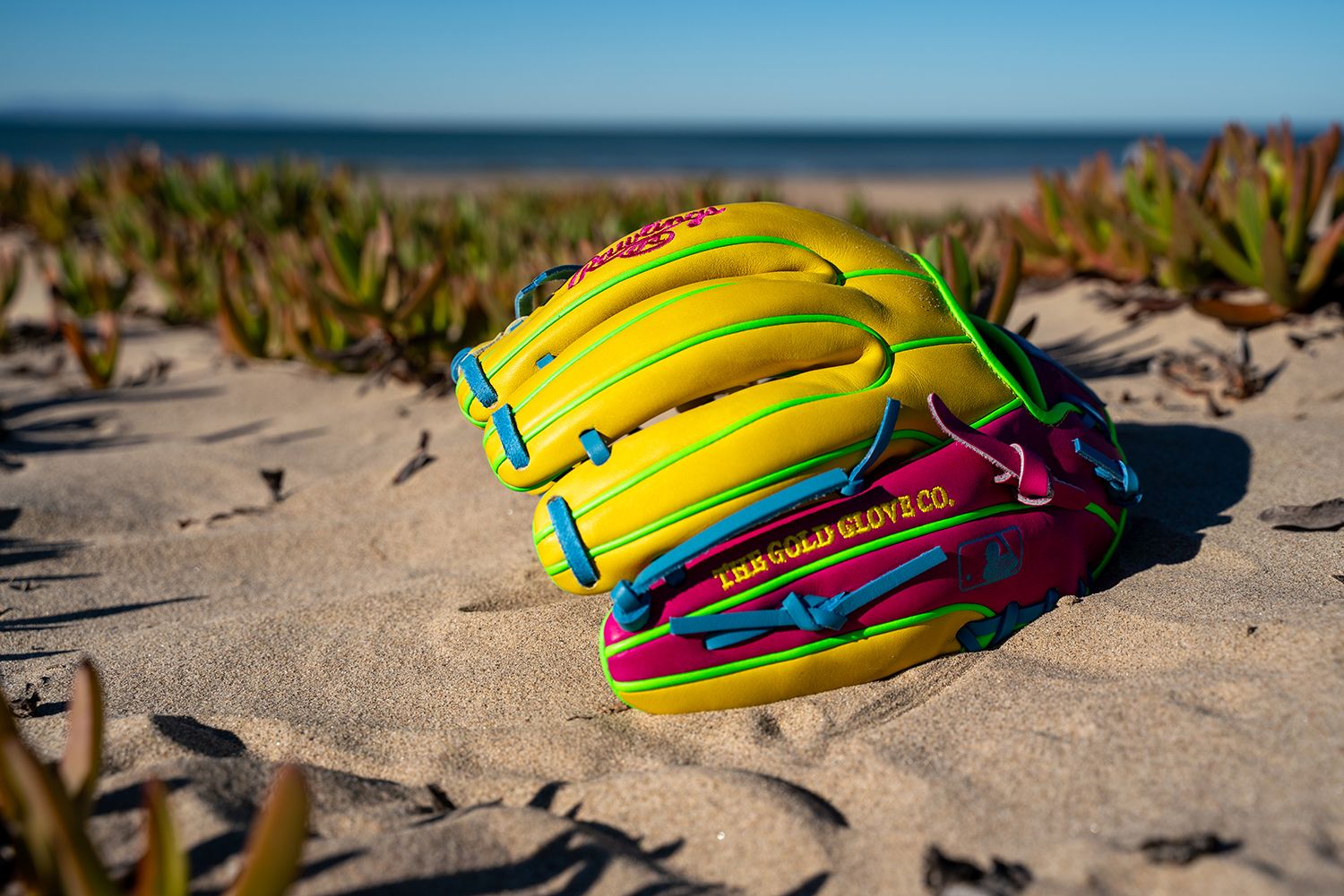 Rawlings 11.5'' Heart of the Hide R2G Spring Break Series Glove product image