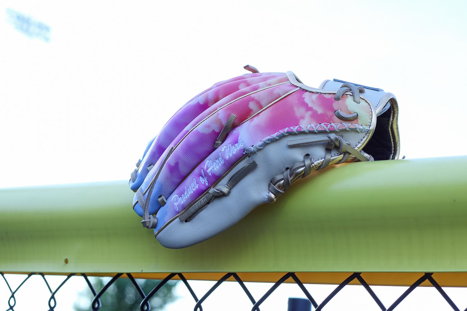 Rawlings 12" Sierra Romero Heart of the Hide R2G Series Fastpitch Glove product image