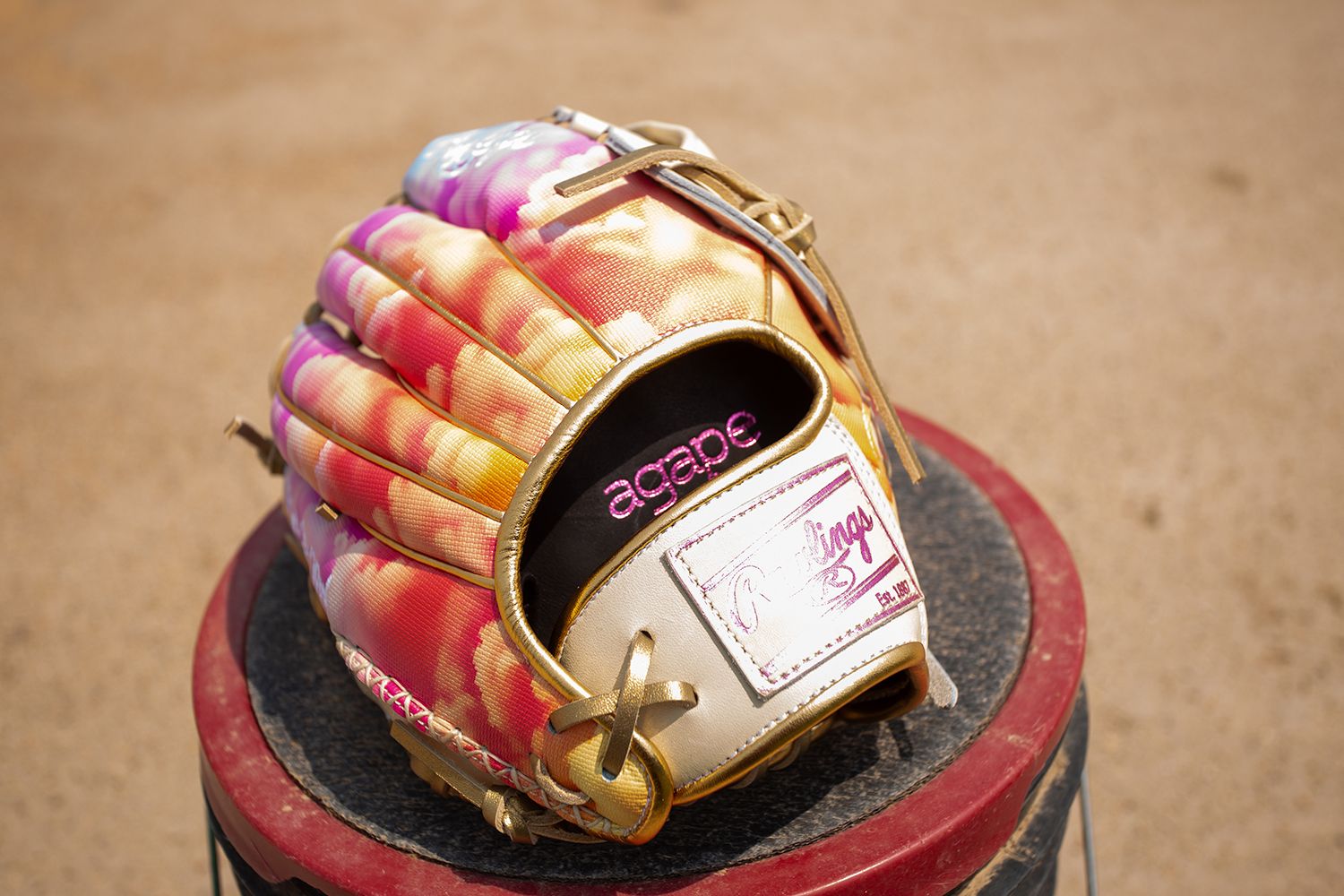 Rawlings 12" Sierra Romero Heart of the Hide R2G Series Fastpitch Glove product image