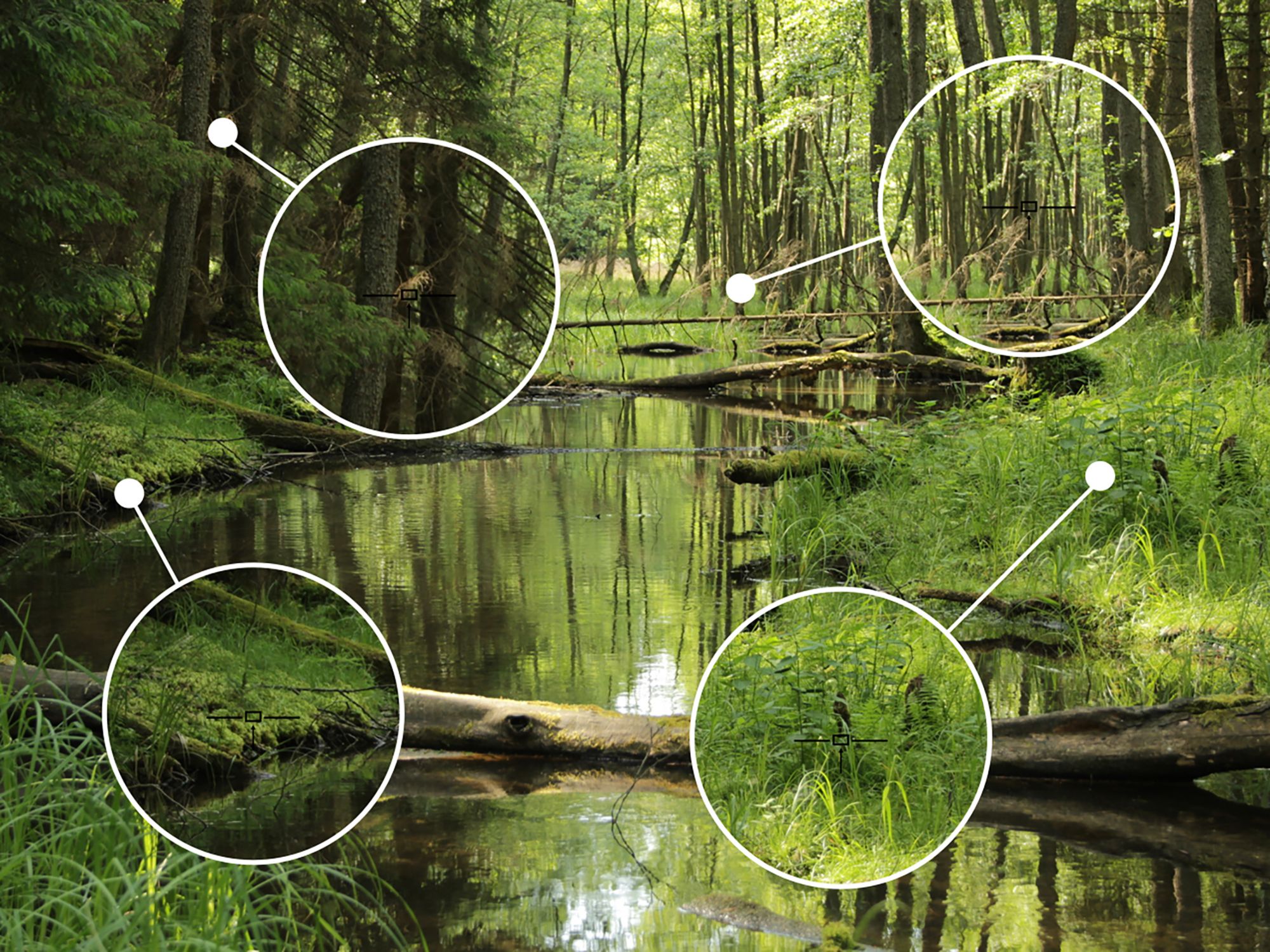 TecTecTec! ProWild Rangefinder product image