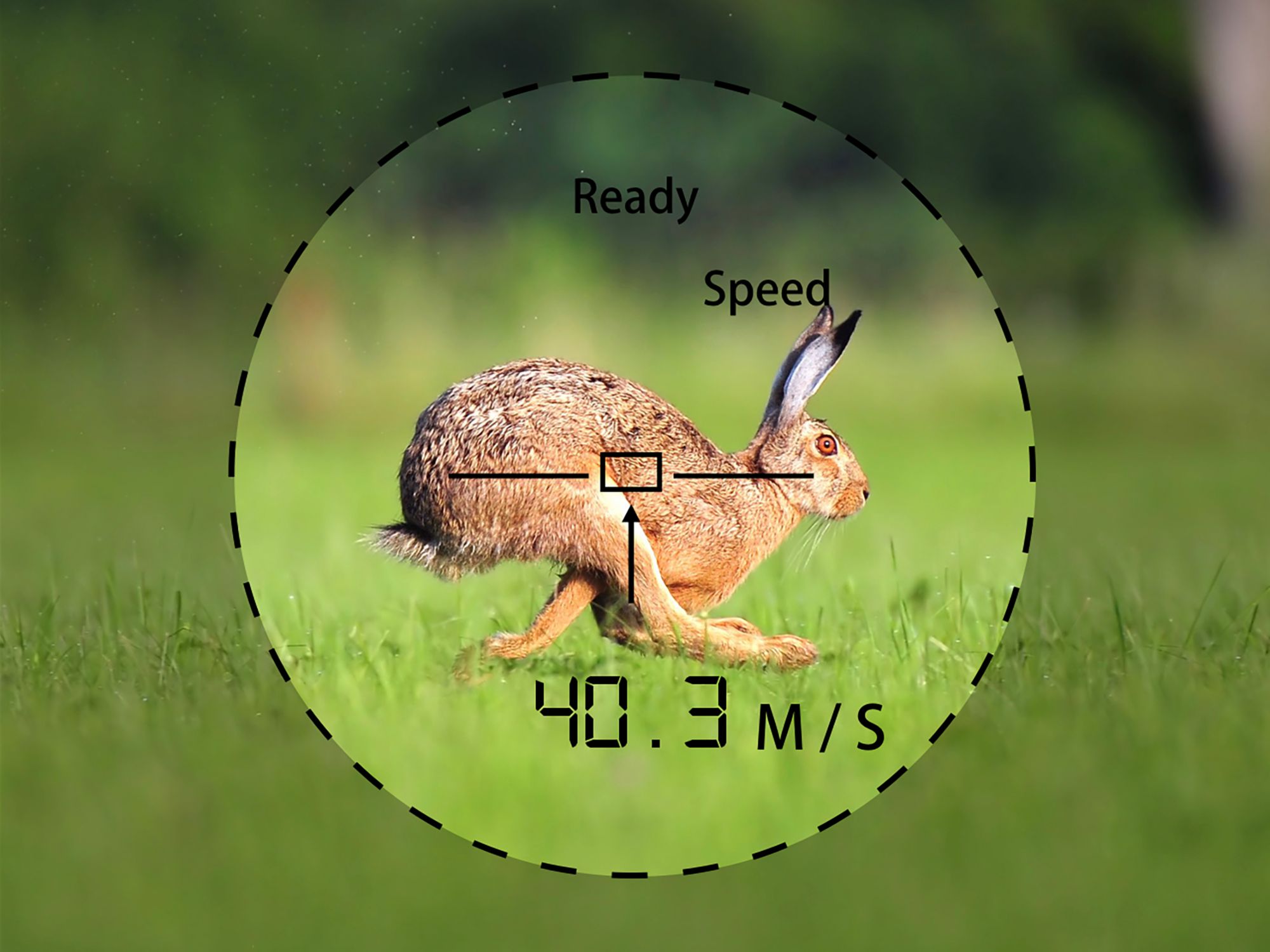 TecTecTec! ProWild Rangefinder product image