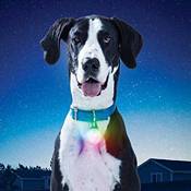 Nite Ize SpotLit Rechargeable Collar Light product image