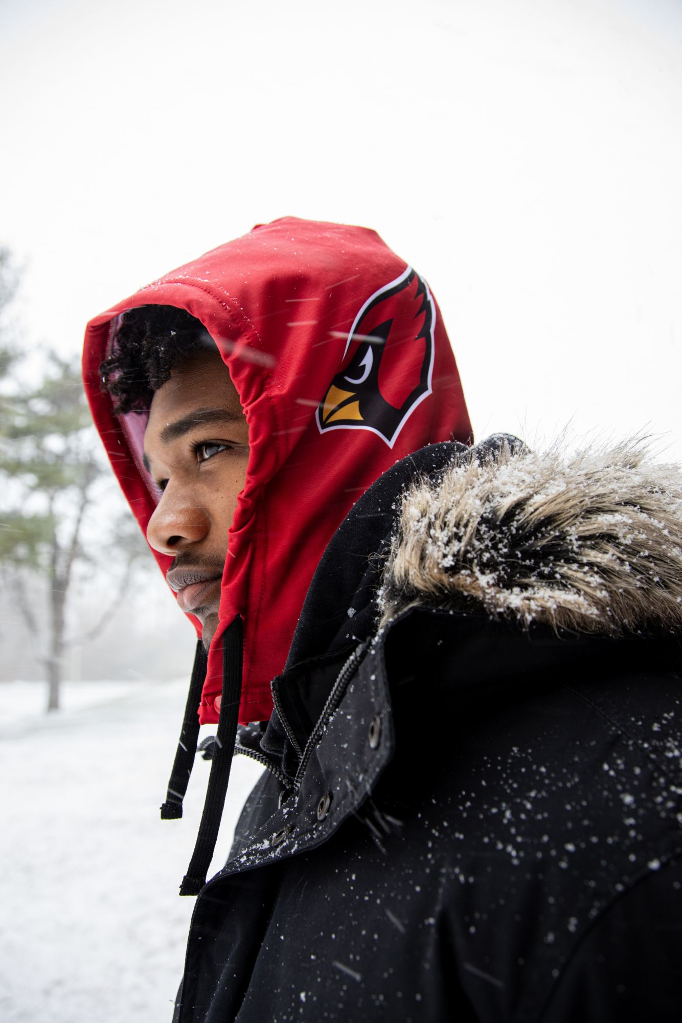 SoHoodie Arizona Cardinals Red ‘Just the Hood' product image