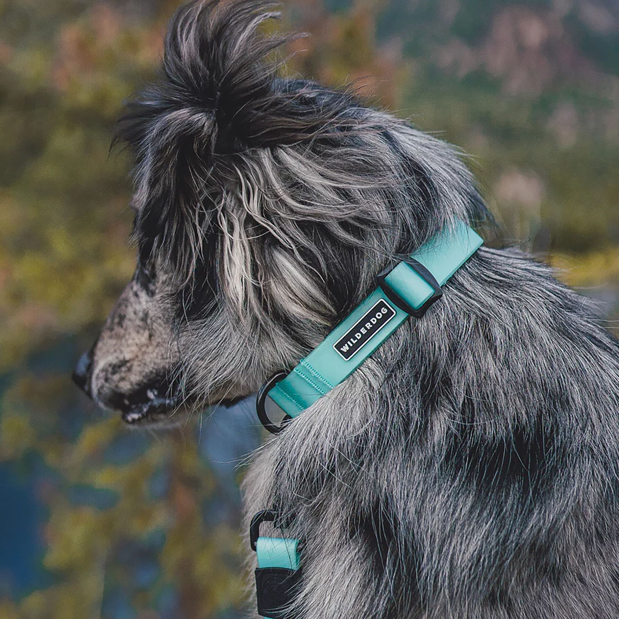 Wilderdog Waterproof Collar product image