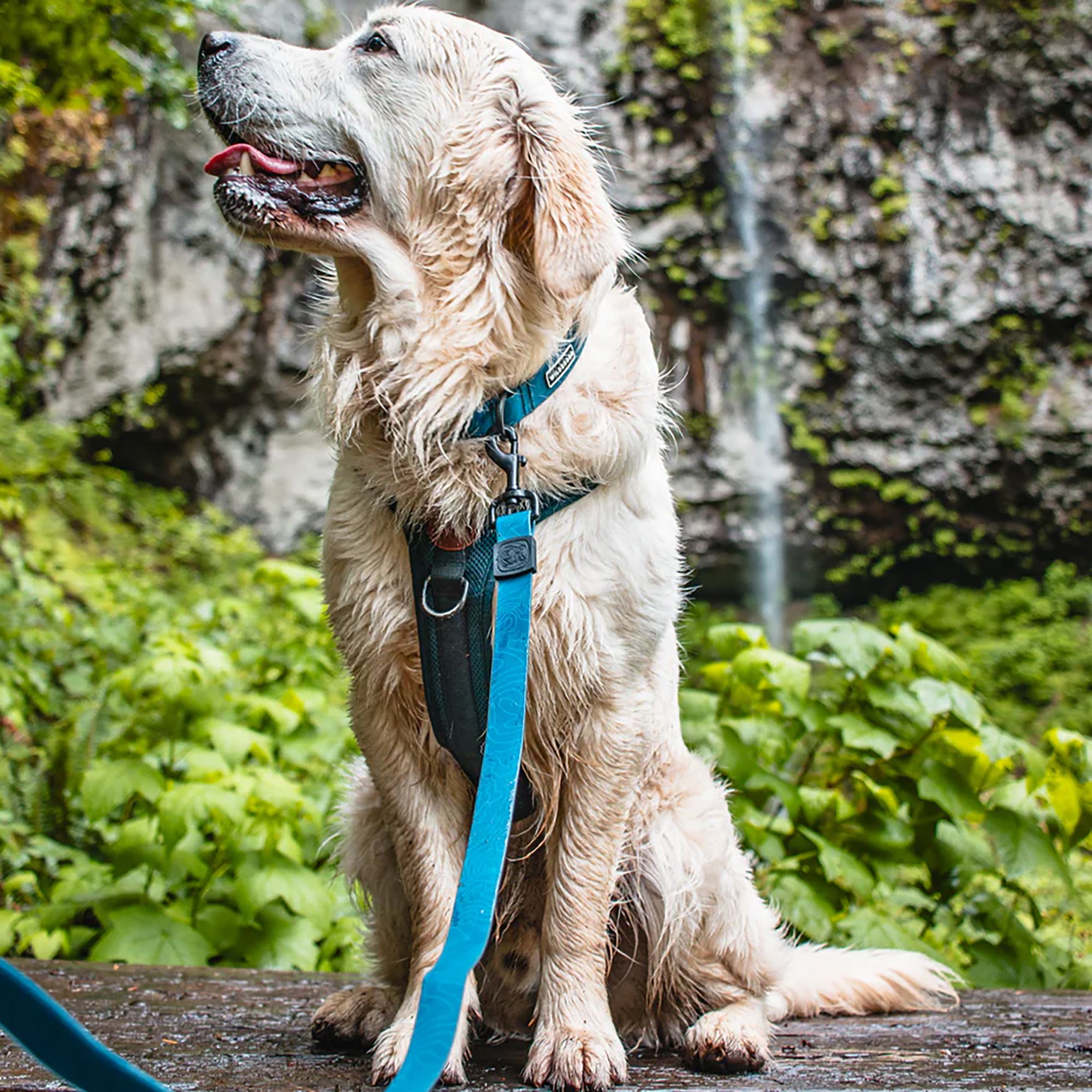 Wilderdog Waterproof Leash product image