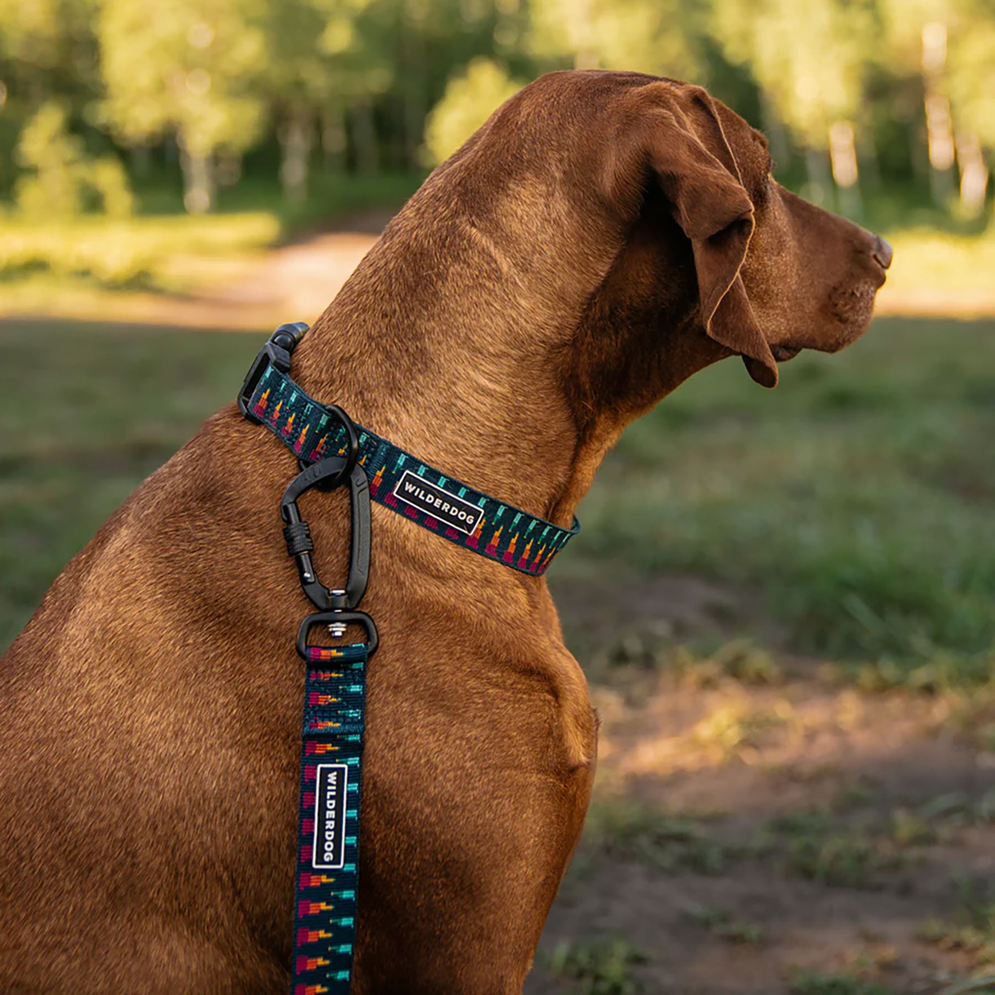 Wilderdog Ultralight Dog Collar product image