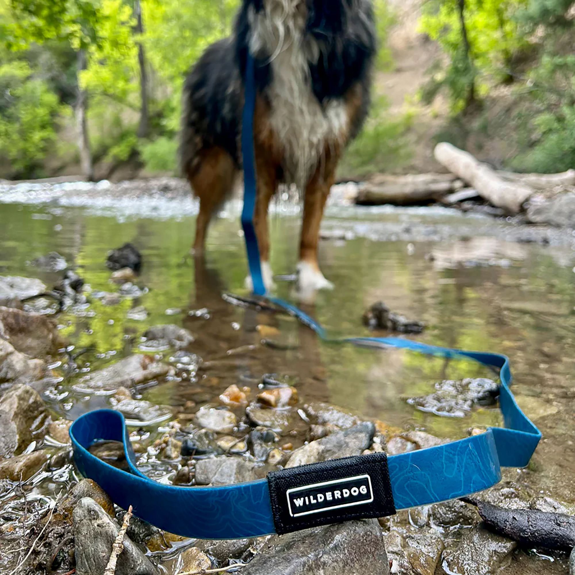 Wilderdog Waterproof Leash product image