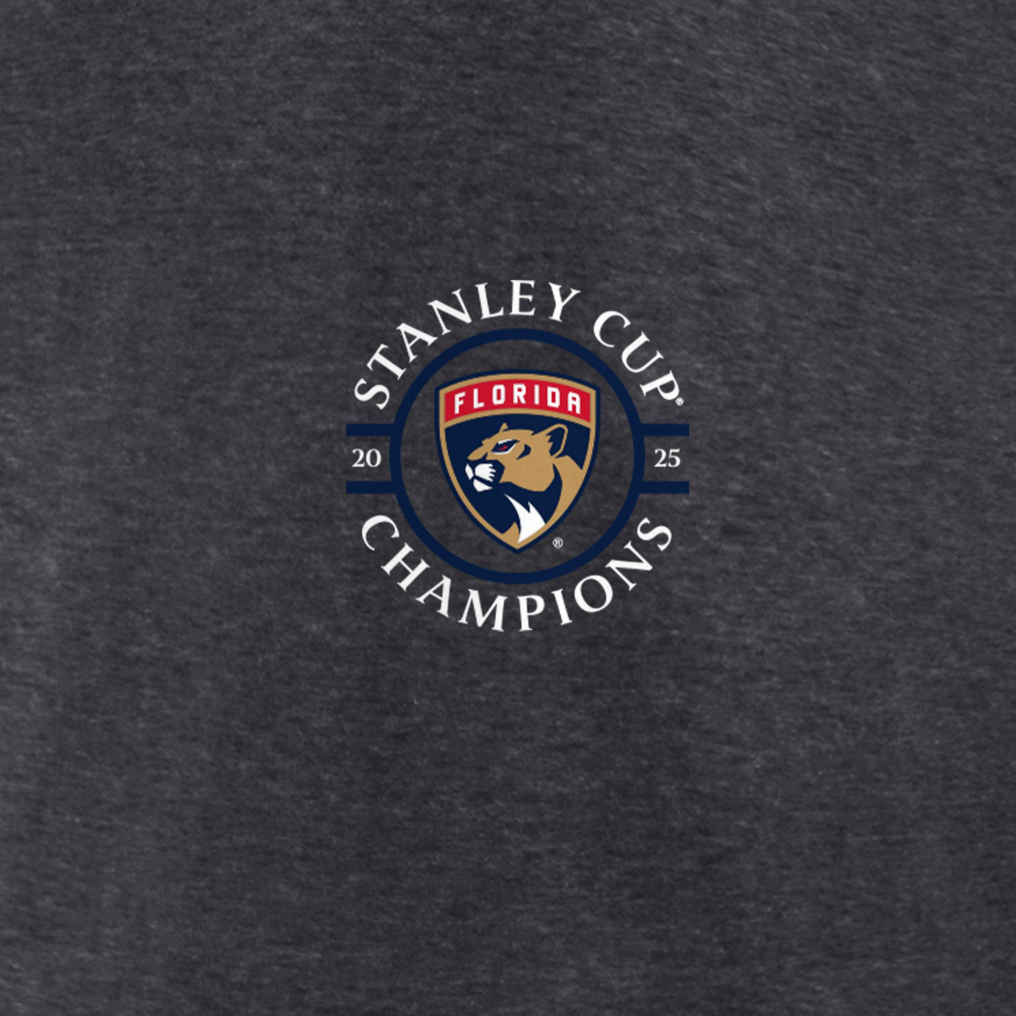 NHL Adult Florida Panthers 2025 Stanley Cup Champions Schedule T-Shirt product image