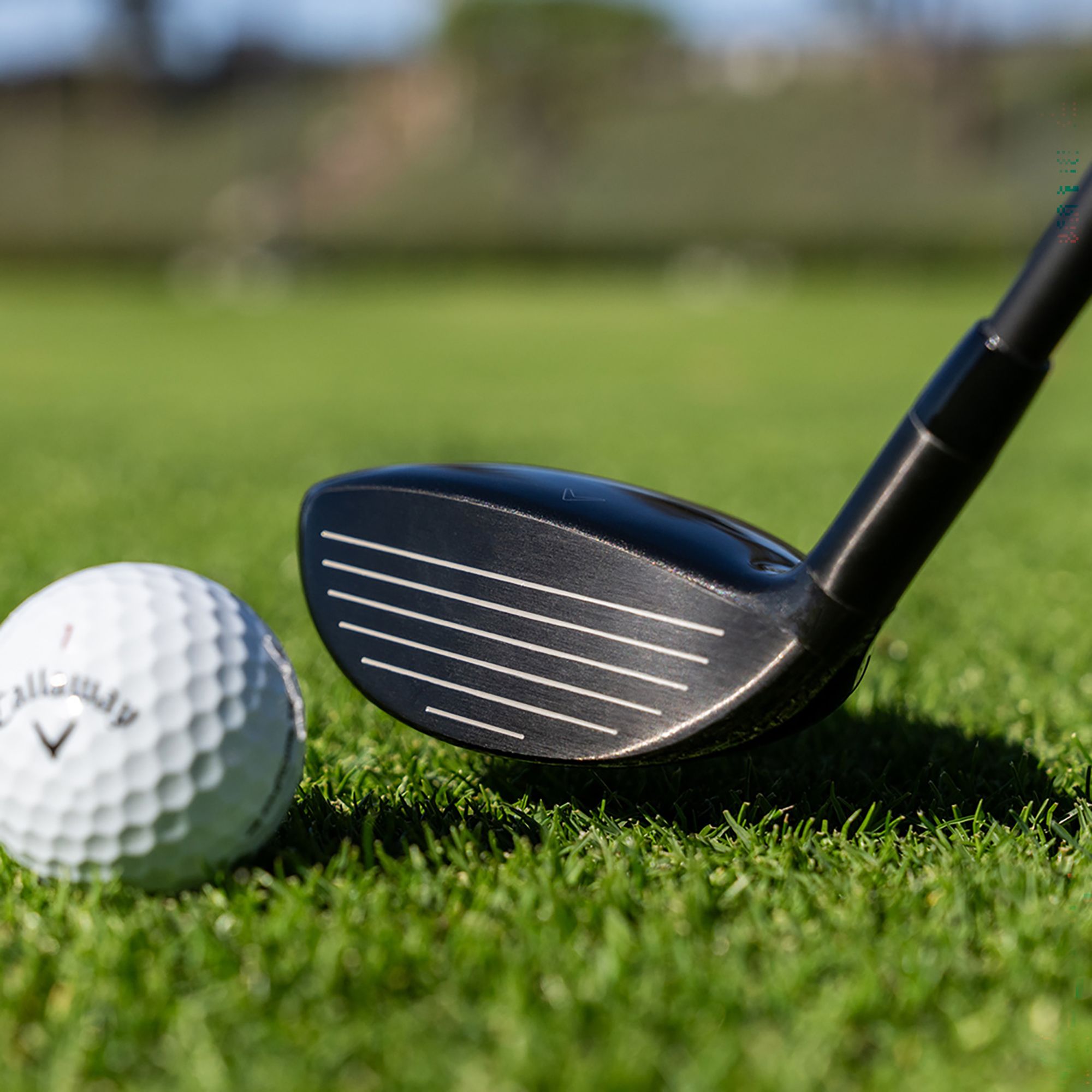 Callaway Custom Quantum Mini Spinner product image