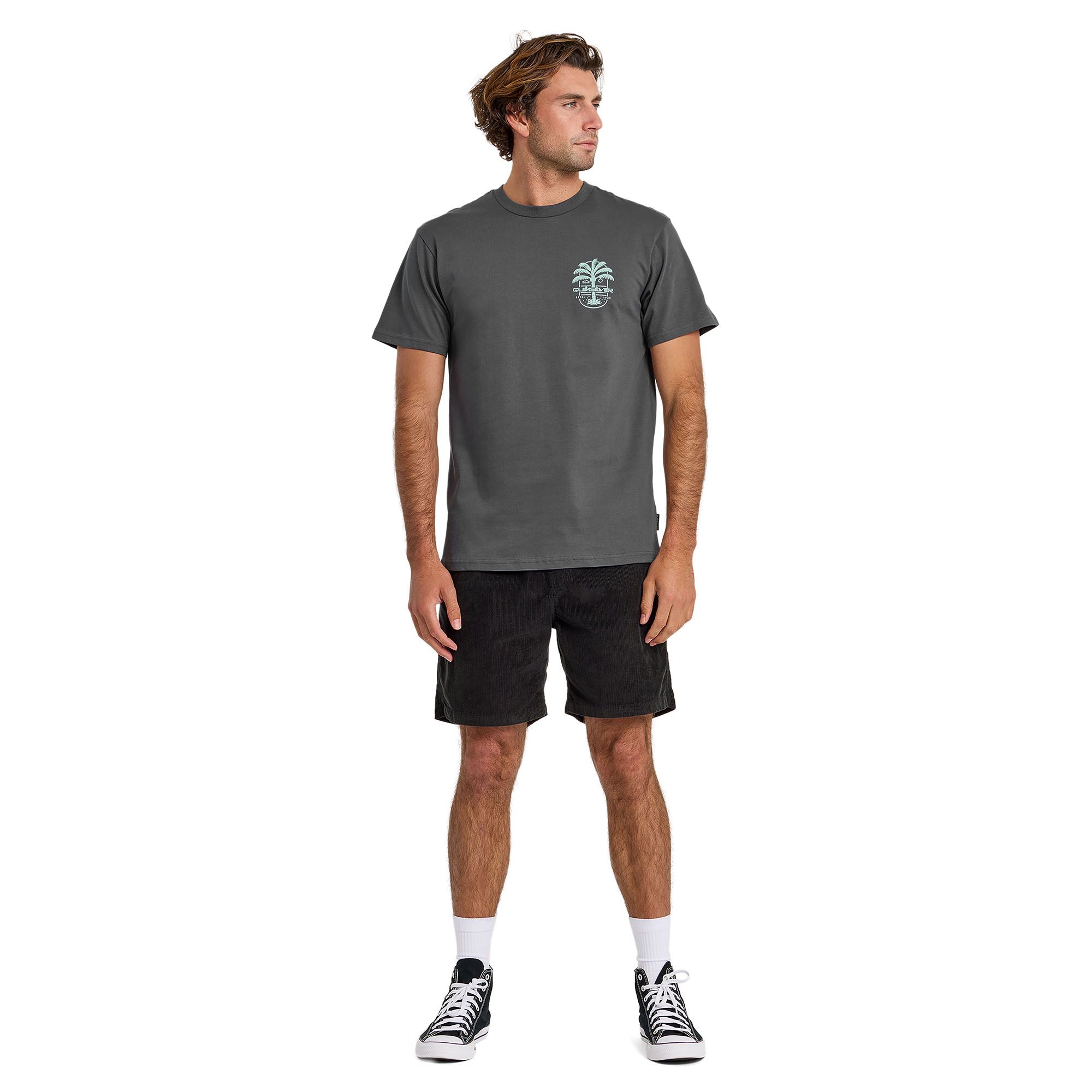 Quiksilver Men's Uno Palm T-Shirt product image