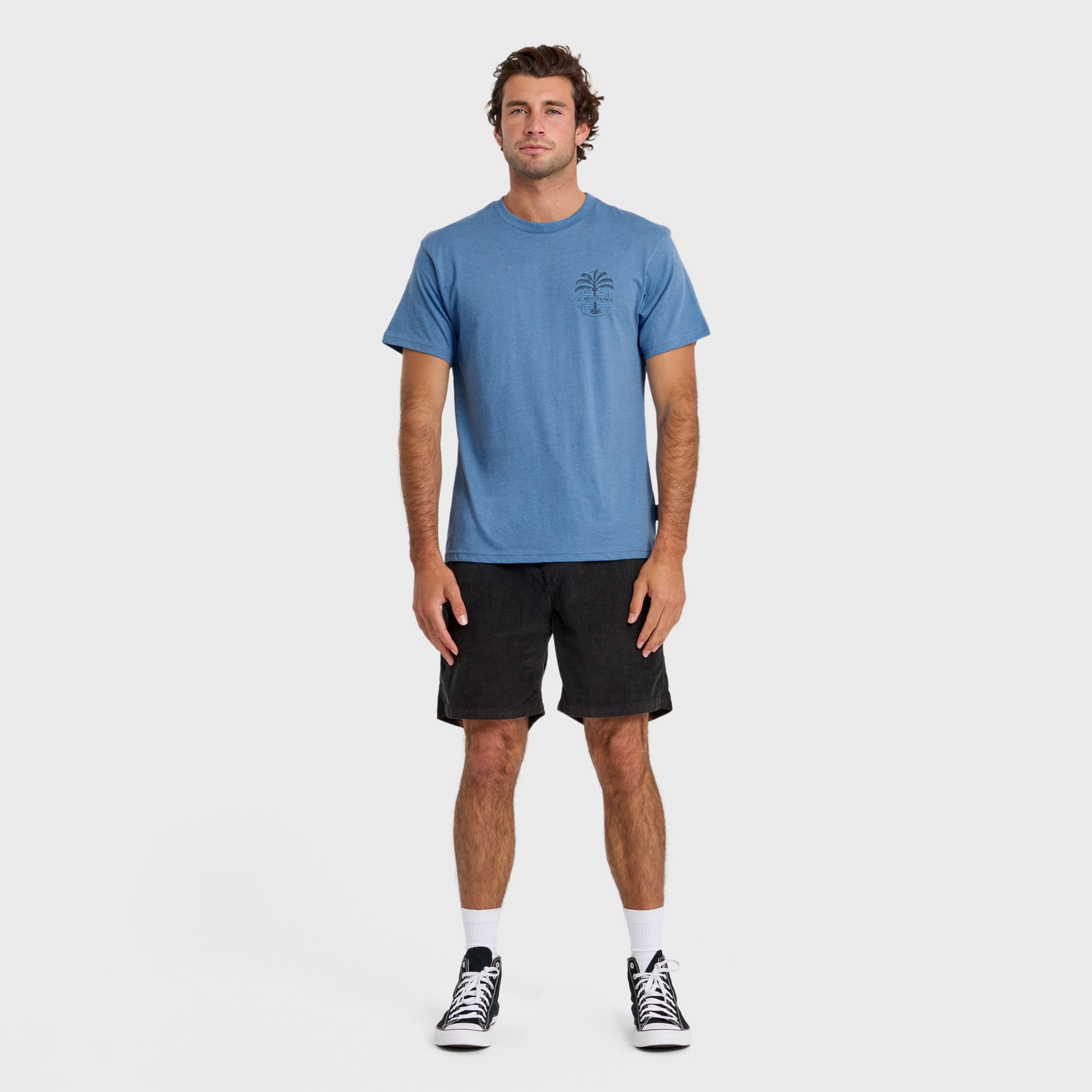 Quiksilver Men's Uno Palm T-Shirt product image