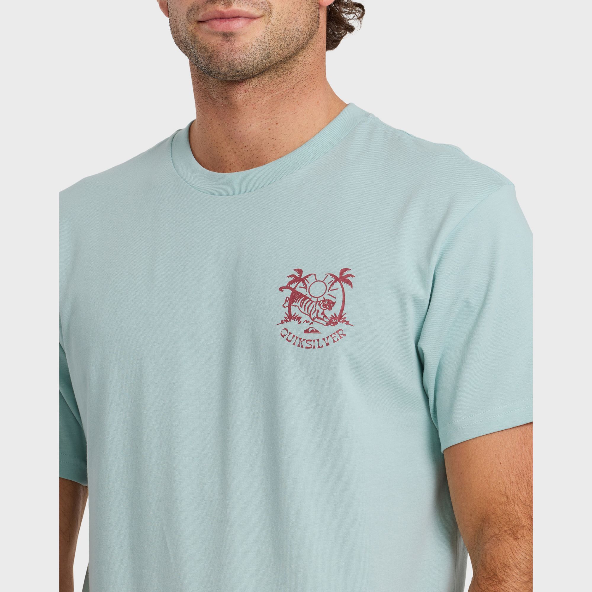 Quiksilver Men's In the Wild T-Shirt product image