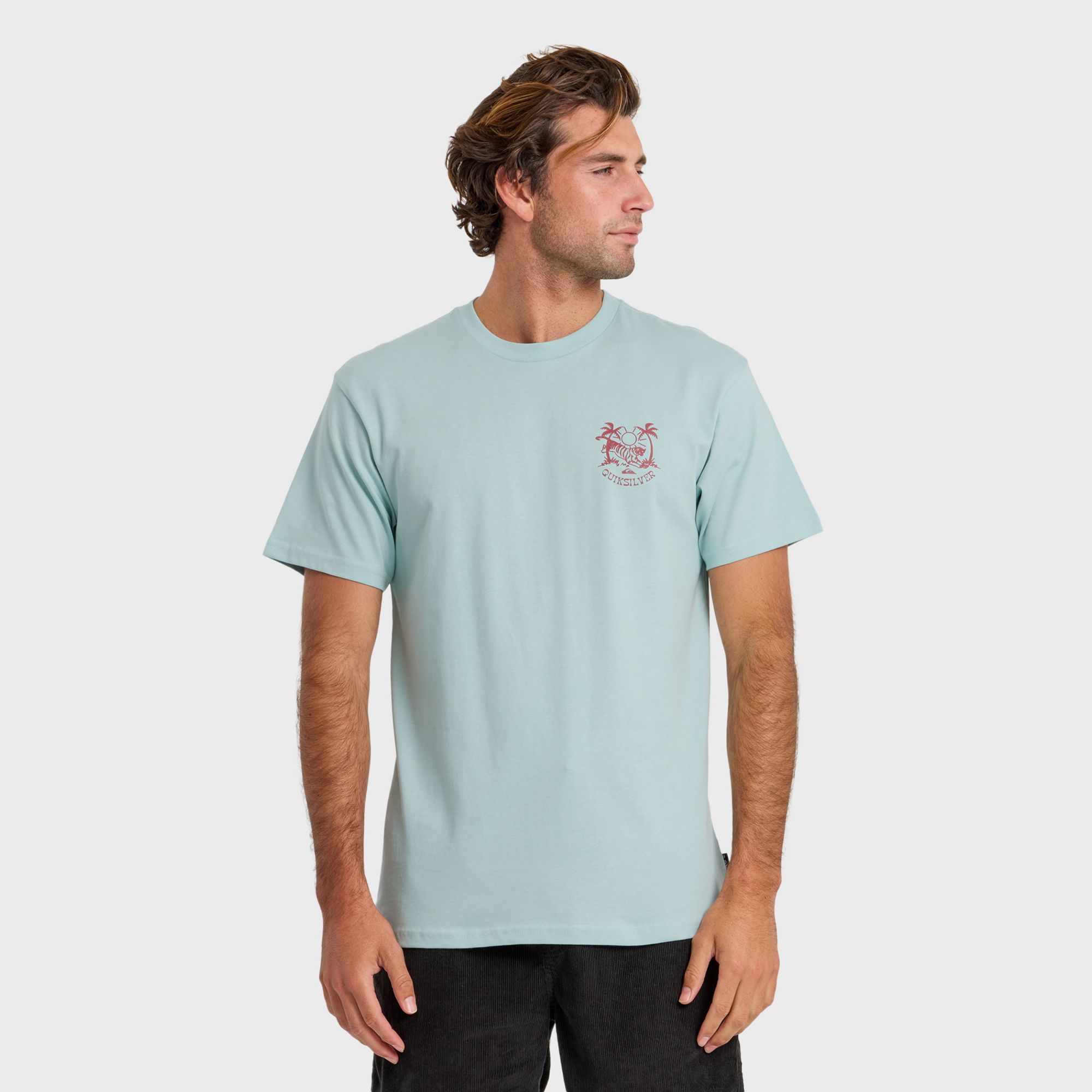 Quiksilver Men's In the Wild T-Shirt product image
