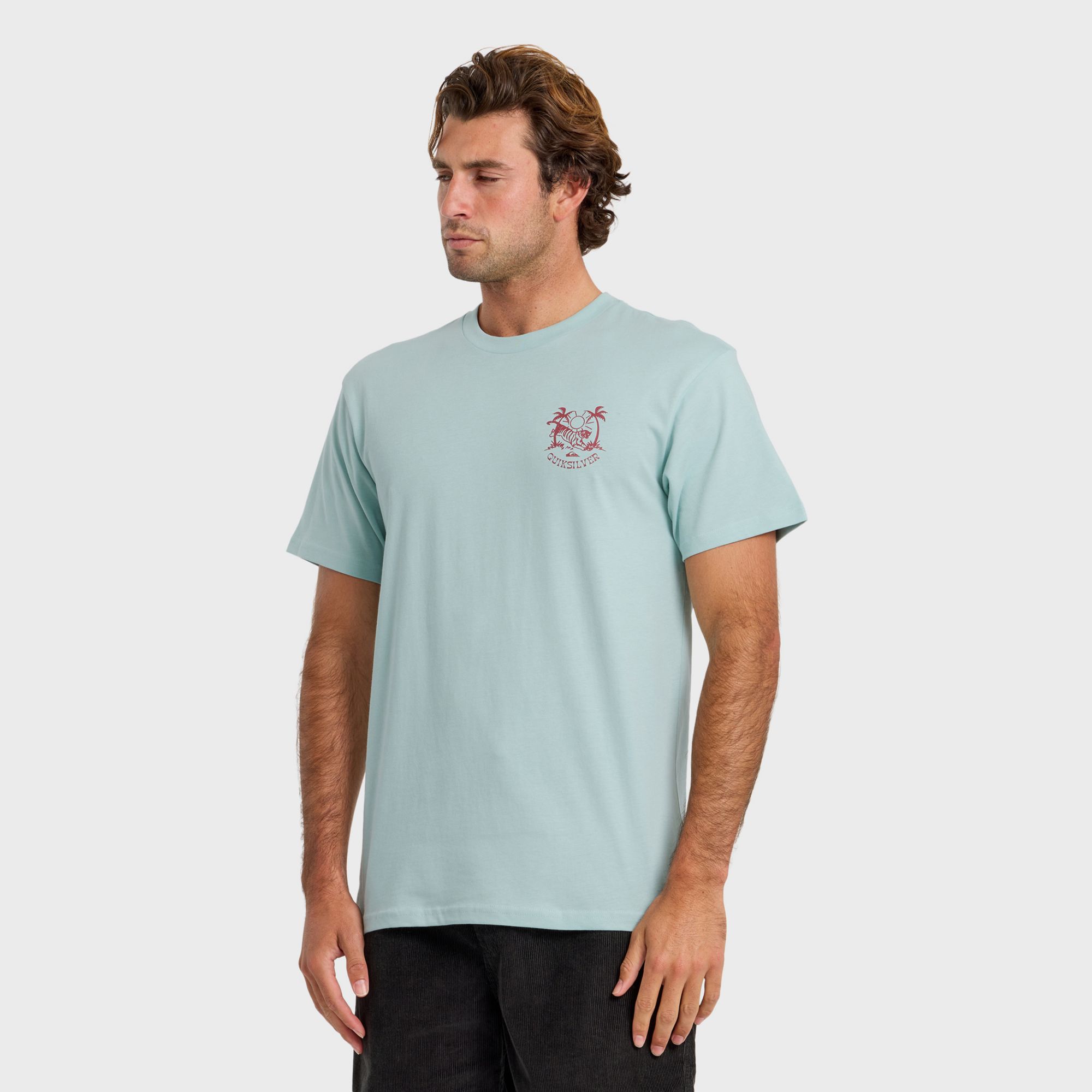 Quiksilver Men's In the Wild T-Shirt product image